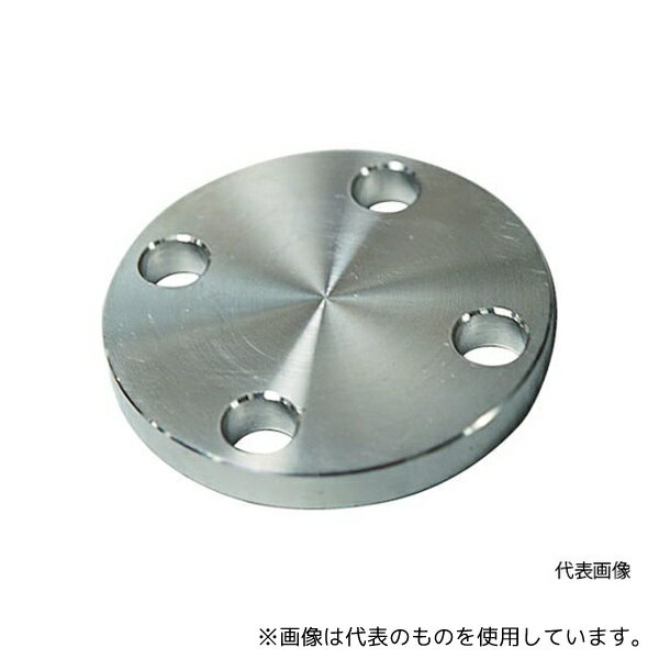 フローバル SUS-10K-BL-FF-50A SUS304 10K 閉止フランジ 14100575