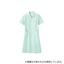 住商モンブラン 73-1558 3L ナースワンピース 半袖 ミント/白