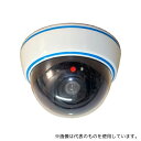 マザーツール DS-1500B ドーム型ダミーカメラ(3)