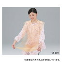 イワツキ 007-70138 ポケロン 10枚