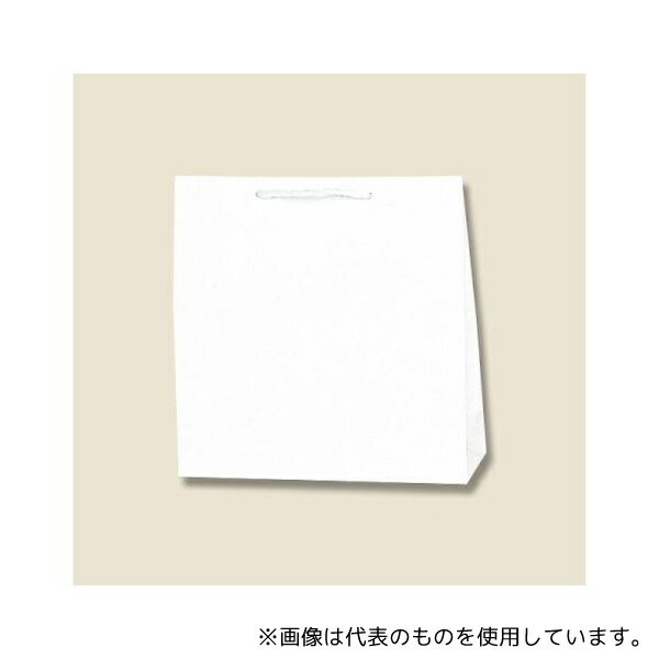 HEIKO 6442100 HEIKO 紙袋 広口チャームバッグ M-1 10枚