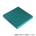 GAC DC0201 D.C.車いすクッション 400×400×50mm(4)