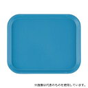 CAMBRO(キャンブロ) 810 カムトレー(FRP) ロビンエッグブルー(3)