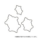 アズワン 生抜 3PC 亀