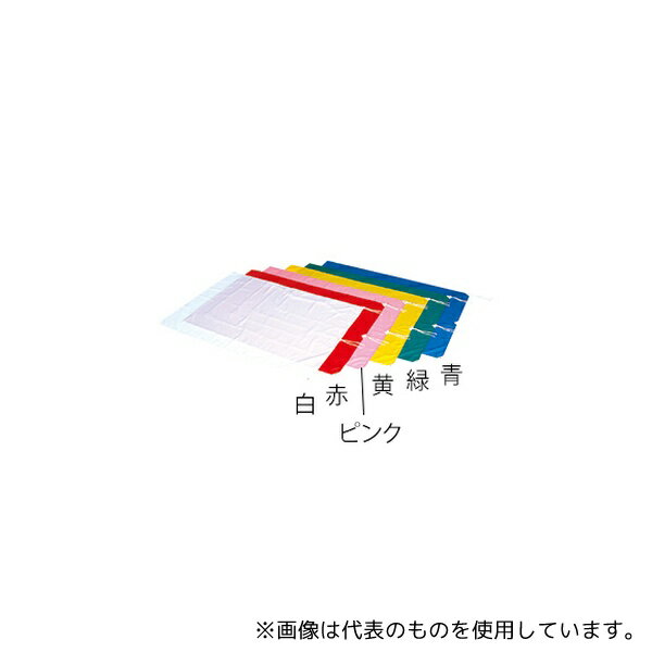 エバニュー EKA647-100 大旗P 赤