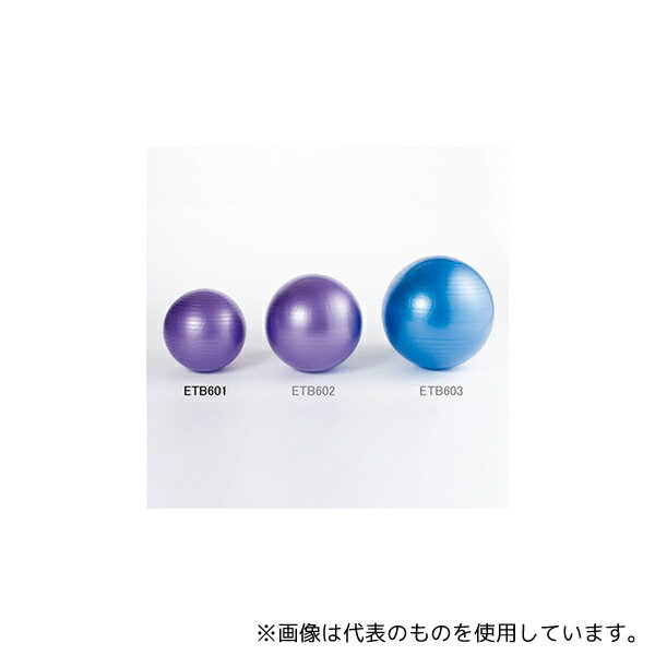 エバニュー ETB601 ノンバーストバランスボール 55