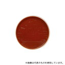 ベクトン・ディッキンソン 251184 BD BBL(TM) セアーマーチン寒天培地 20枚