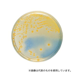 ベクトン・ディッキンソン 251953 BD BBL(TM) CLED寒天培地 20枚