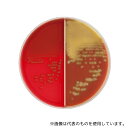 ベクトン・ディッキンソン 251302 BD BBL(TM) TSAII5%ヒツジ血液寒天培地/チョコレートII寒天培地 20枚