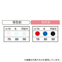 JAPPY 3I70-JP サーモカラーセンサー 1ケース(20枚入)(4)
