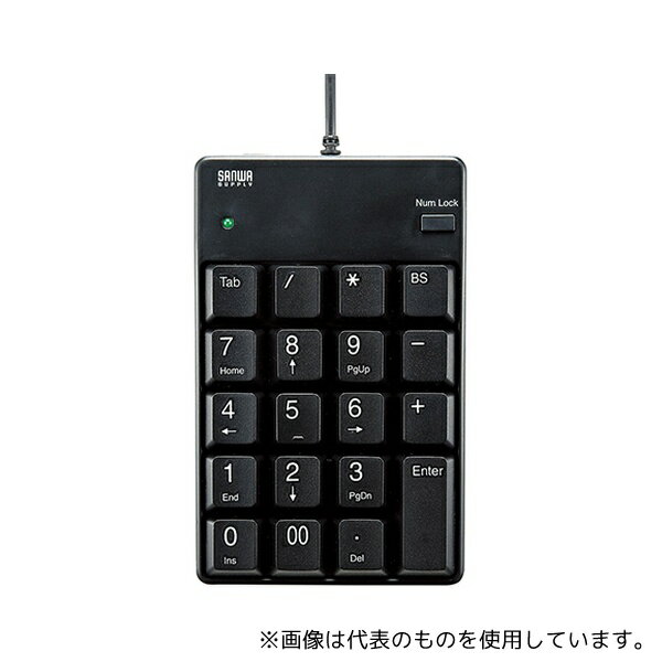 サンワサプライ NT-17UBKN USBテンキー