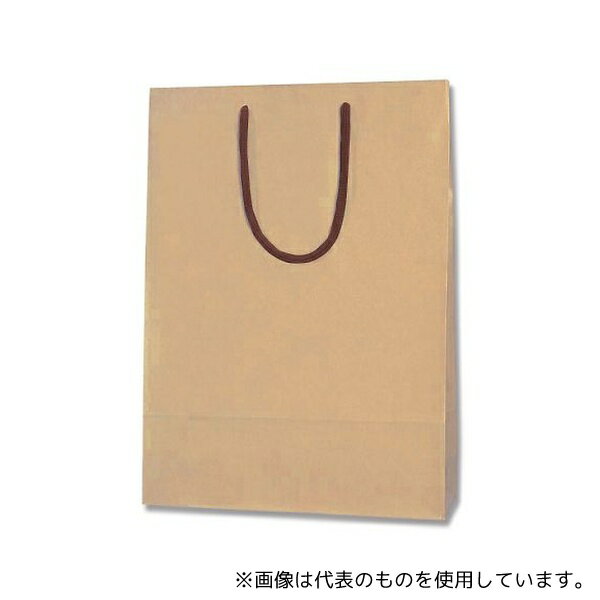 HEIKO 5310116 手提げ紙袋 カラーチャームバッグ 2才 クラフト 10枚