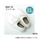 アズワン 1.12E+12 インソール レディース 消臭 抗菌 『い草インソール』 ネイビー 約23cm