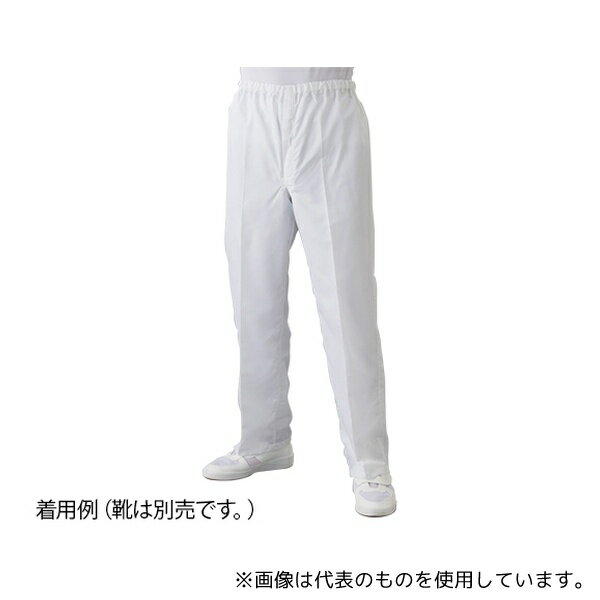 Υȥե꡼ FD300A-01 5L ꡼롼ѥѥ(ѡۥ磻) 5L