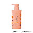 クラシエ いち髪 濃密W保湿ケア シャンプー ポンプ