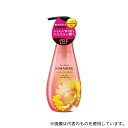 クラシエホームプロダクツ販売 ディアボーテ ヒマワリ オイルインシャンプー(グロス&リペア)本体 500mL