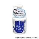 シャボン玉販売 バブルガード 300mL 1本(300ml入)
