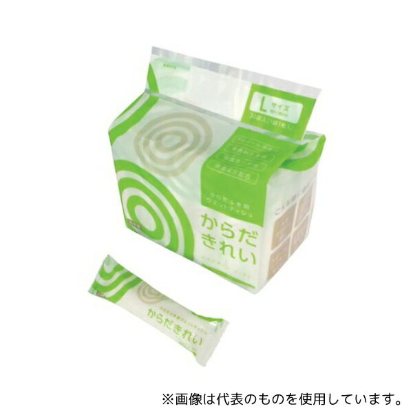 トーヨ 256080 クリーンウェット からだきれい L 1パック(30個入)