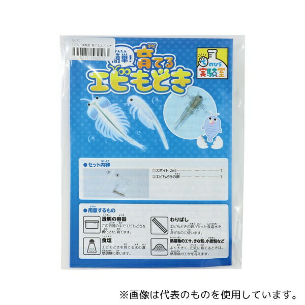 アーテック 58257 てのひら実験室 育てるエビもどき(袋タイプ)