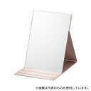 堀内鏡工業 HP-94 プロモデル折立ミラー LLサイズ PK