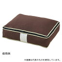 アイメディア 1009882 炭入り消臭羽毛布団収納ケース シングルサイズ 縦置き A-02 収納袋