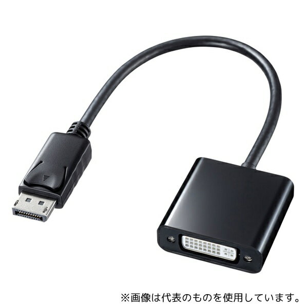 掠ץ饤 AD-DPDV04 DisplayPort-DVI Ѵץ