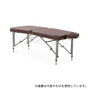 セイヨー B30BR 折りたたみ診察台 ブラウン 75×182×60~82cm