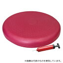 秦運動具工業 DK450P バランスディスク ポンプ付セット