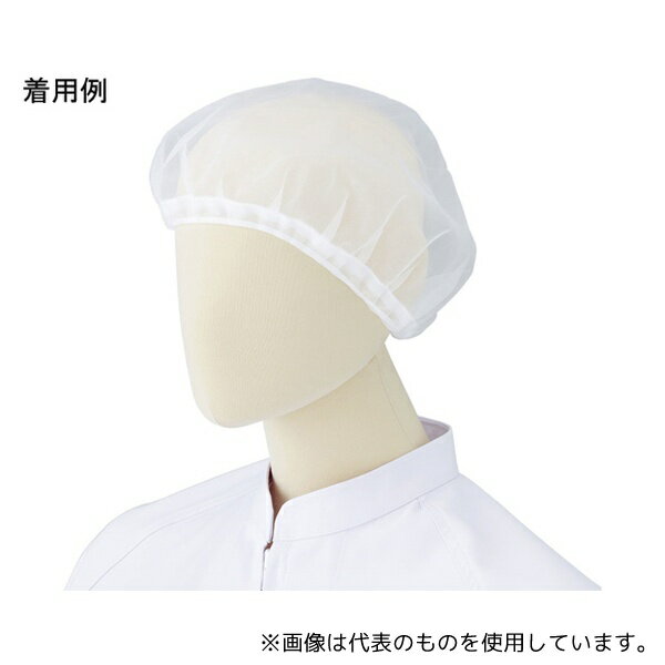 ߥɥ CD31898001_04 ꡼󥤥ʡͥå ʻȸ ͥåII M