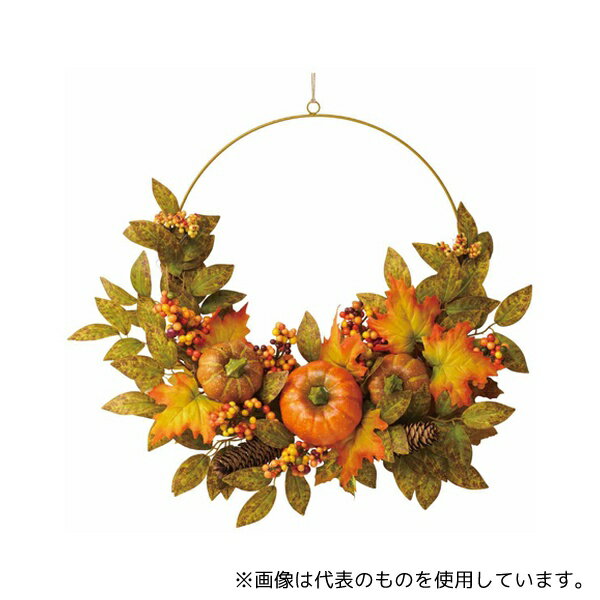 アズワン 47-11-10-1 オータムワイヤーセミリース 50cm