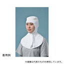 国立 SD3000 サラドラ?ズキン(ツバ無