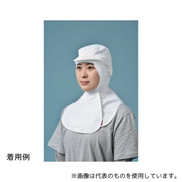 Ω SD500S ɥ顩PRO(ĥդ)ۥ磻 ե꡼ 1(10)