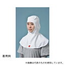 国立 SDF300 サラドラ?フルフェイス