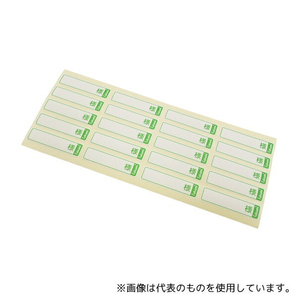 エスティーメディカル PT-S 投薬トレー用 ネームシール 100枚入...(4)