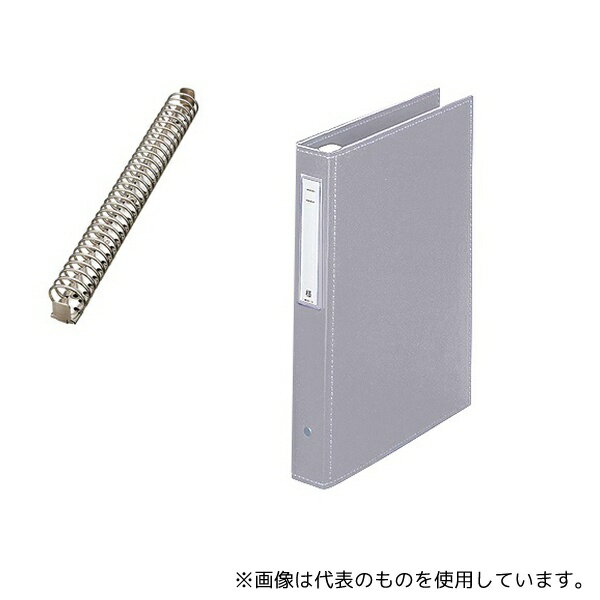 LIHITLAB HB438-6 カルテブック(スタンダード) 30穴タイプ シルバー