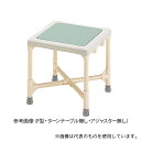 矢崎化工 CAA-0201 シャワーいす F型タイプ(ターンテーブル無し・アジャスター無し)