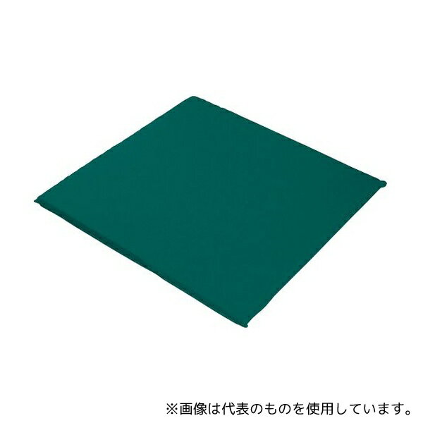 GAC D.C.パッド タイプL グリーン 7-5497-02