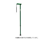 竹虎 104757 ヒューゴステッキ グリーン(4)