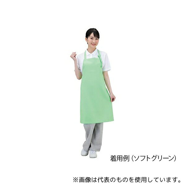 ワコウ E3500-1 抗ウイルスエプロン Dr.Earth？ 首掛け アースブルー