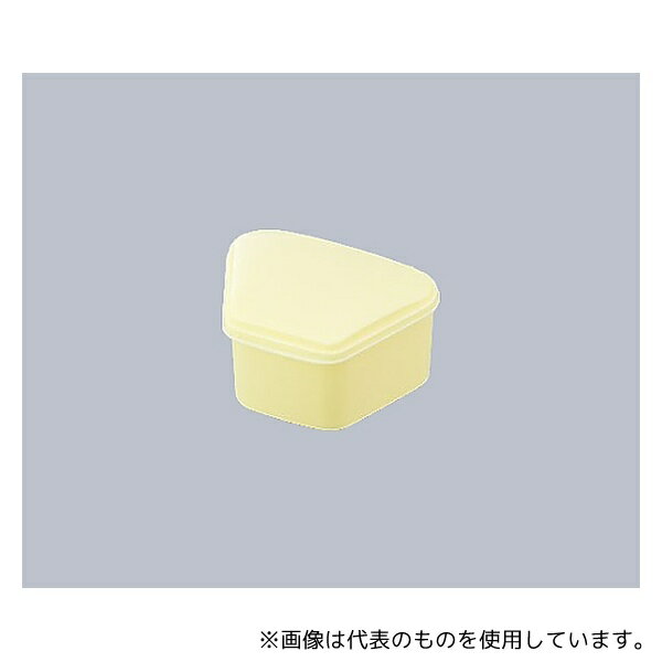 アズワン 4222 入れ歯ケース イエロー