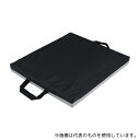 アズワン WP464105-GL 車椅子用ゲルクッション (460×410×50mm)