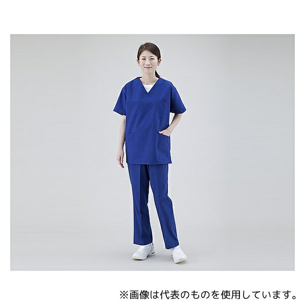 PANTONE(ե) 6003SC-7 3L ȥ졼ȥѥ (˽) ͥӡ/3L