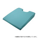フィフティ・ヴィジョナリー NVB-BL バストクッション ブルー