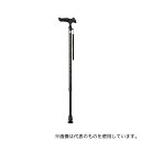 フジホーム WB3791 かるがもE(伸縮式) 市松黒(4)