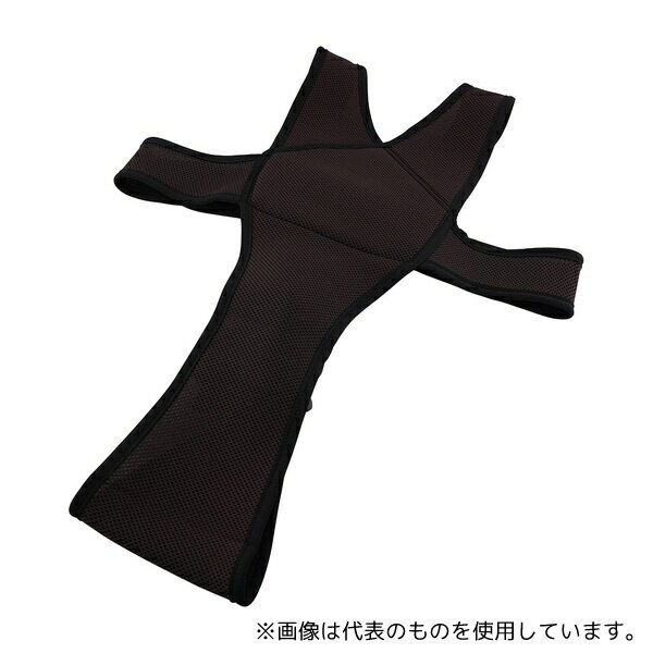 特殊衣料 4010 車椅子ベルト Lサイズ ブラウン