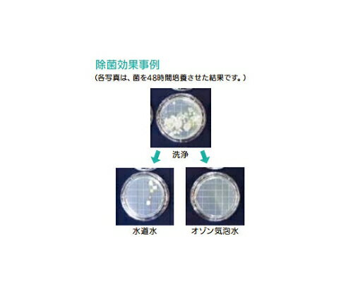 �������(AS ONE) ������ߥ����� ROZM-01 405300 ������1��