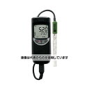 ハンナ インスツルメンツ 紙・皮革用pH/℃計 HI99171D 入数:1台