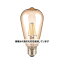 アクティ（Acty） エジソン電球 LEDフィラメント ST19G 627226 入数：1個
