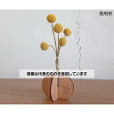 関谷理化 木製 試験管立て 組立タイプ SiTATE121X 入数:1個