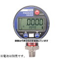 長野計器 高精度電池式デジタル圧力計 2MPa GC04174J4BXX3XXXXX0 入数:1個